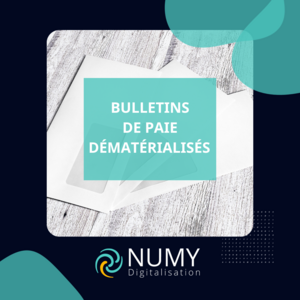 Maximisez l'efficacité de votre gestion RH avec les bulletins de salaires dématérialisés