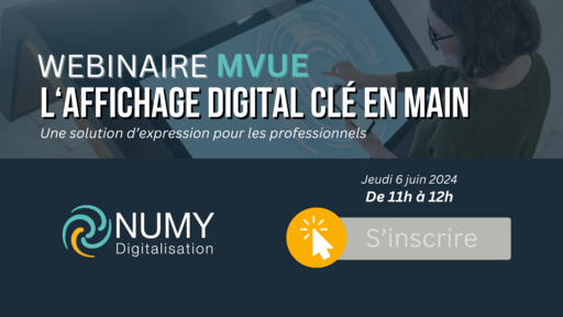 MVUE : L'affichage clé en main pour les professionnels